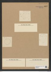 Diatomeae indet. Zeichnungen Sammlung Grunow Nr. 8222 (NHMW-BOT-W0377608)